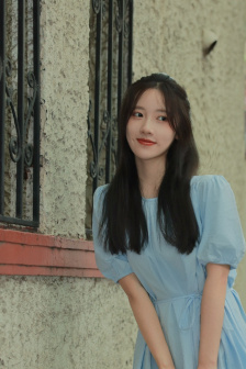 一树梨花压海棠电影